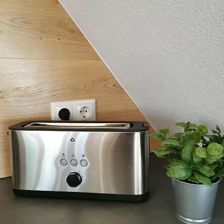 Falken-loft Apartmán *